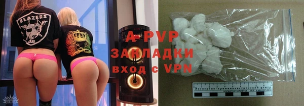 крисы Новодвинск