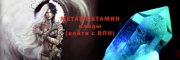 крисы Новодвинск