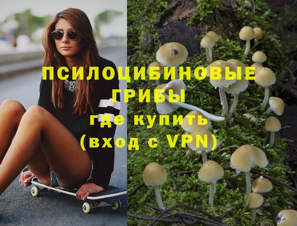 spice Нязепетровск