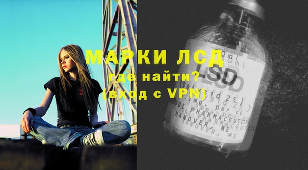 крисы Новодвинск