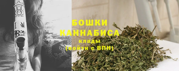 крисы Новодвинск
