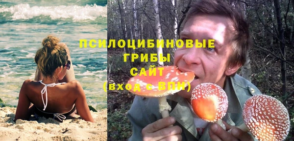 spice Нязепетровск