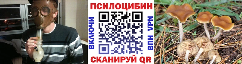 Галлюциногенные грибы Psilocybine cubensis  Спасск-Рязанский 